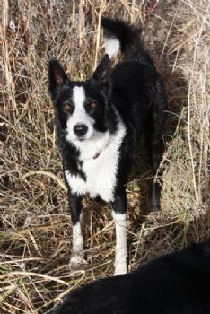 peggyg63 profile photo