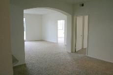 tamakiscott profile photo