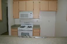 tamakiscott profile photo