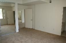 tamakiscott profile photo