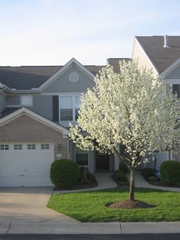 Masonhome profile photo