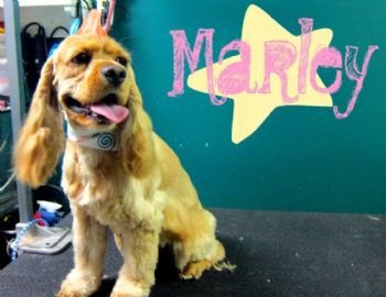 dani1991 profile photo