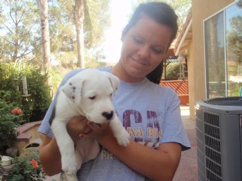 Jdono60655 profile photo