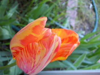 tawnie73 profile photo