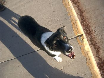 trailhead profile photo