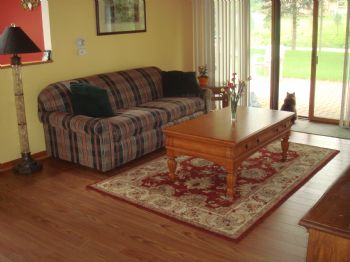 mlulu007 profile photo