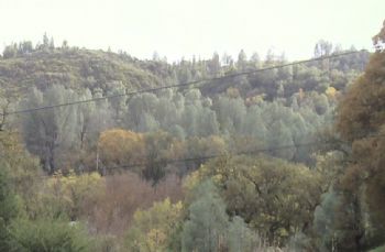 CaregiverII profile photo