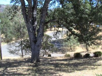 CaregiverII profile photo