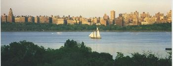 guilgrp profile photo