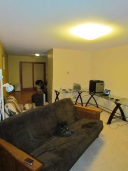 lightdragon profile photo