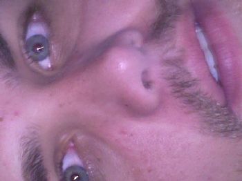 Talltree profile photo