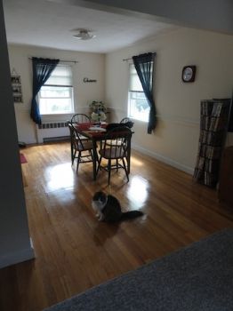 ashley84paig profile photo