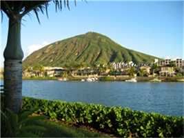 sasha808 profile photo