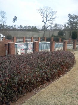 Sheabutta34 profile photo