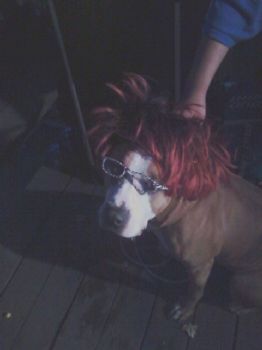 hannag profile photo