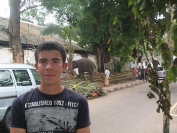 DCsBest profile photo