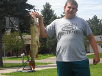 NikolaS profile photo