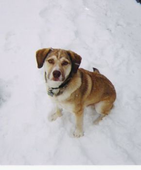 Lautramont profile photo