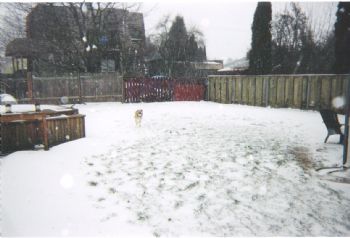 Lautramont profile photo