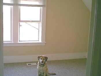 Lautramont profile photo