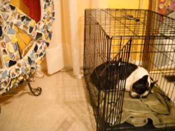 kbryant99 profile photo