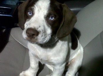 wareagle12 profile photo