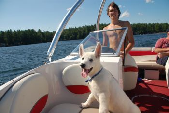 sdwgs10 profile photo