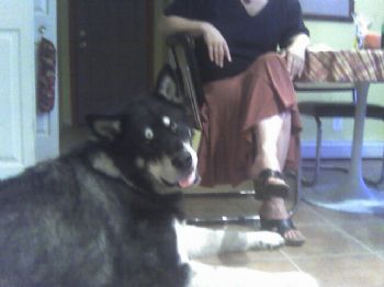 bmoreinis profile photo