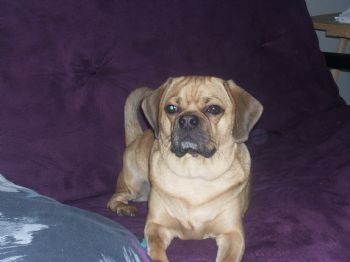 blairzy99 profile photo