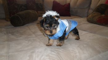 lizrodz1 profile photo