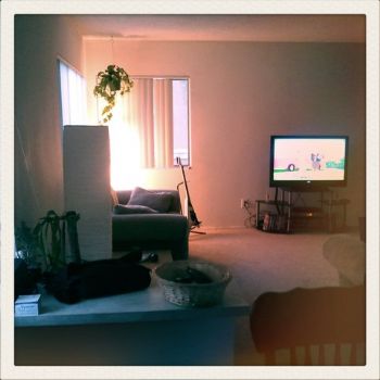 sturzo profile photo