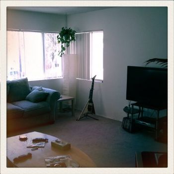 sturzo profile photo