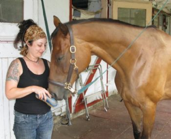 dstar17 profile photo