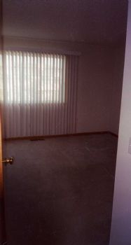 krazykate profile photo