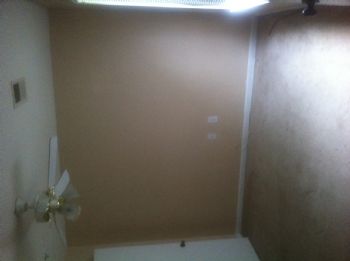 peezee profile photo