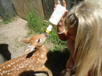 cassparon profile photo