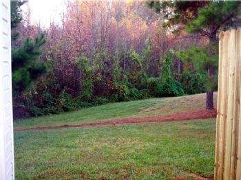 riannadams7 profile photo