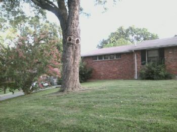 SevinStyle profile photo