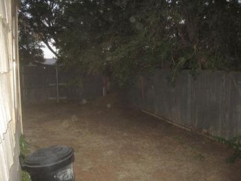 everclear profile photo