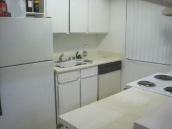 everclear profile photo