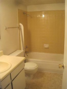 everclear profile photo