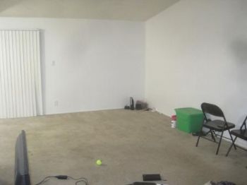 everclear profile photo