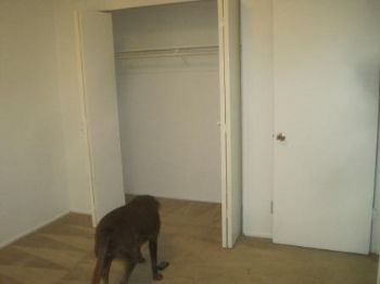 everclear profile photo