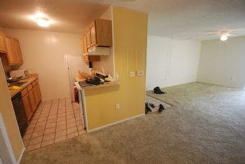 vlad88 profile photo