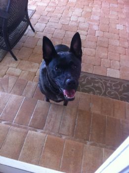 NikKel profile photo