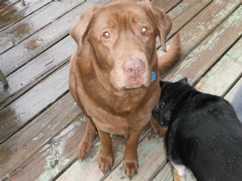 sniffles1980 profile photo