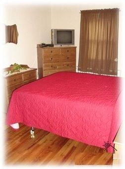 free.room profile photo