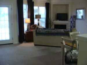 CPreteroti profile photo