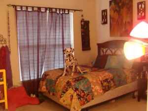 CPreteroti profile photo