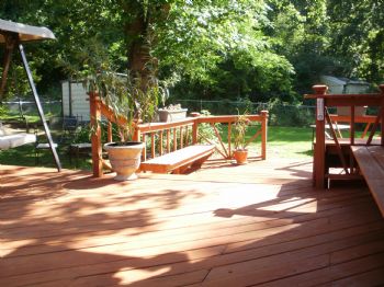 tienou profile photo